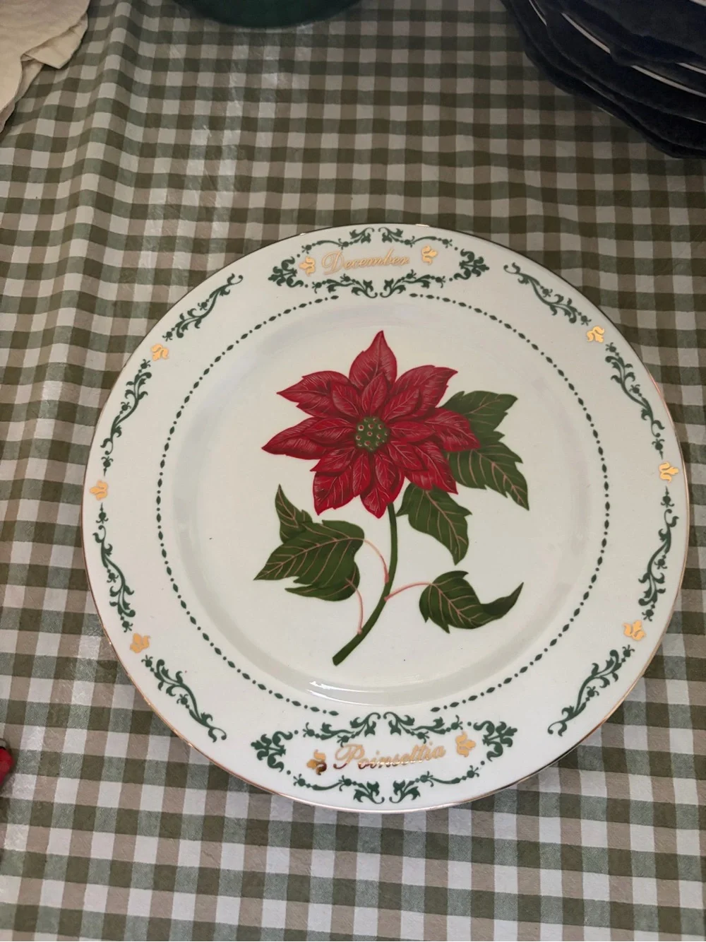 Poinsettia Holiday Dinner Plate in Red & Green